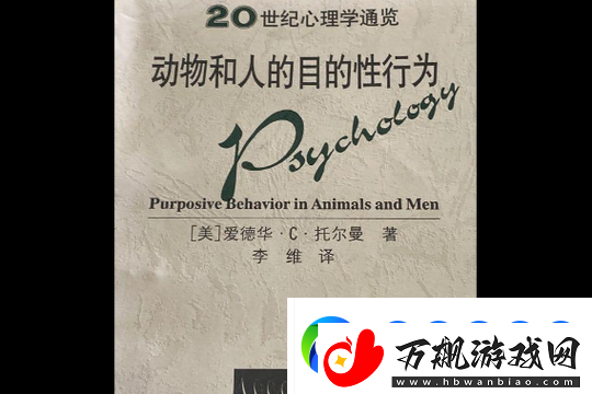 欧美人与禽的性行为与行为