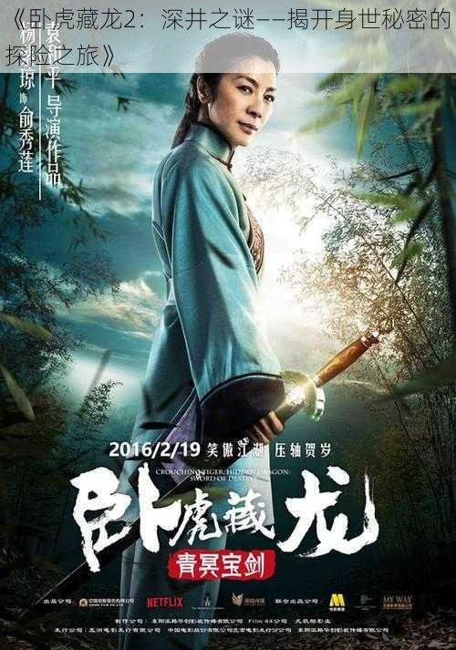 《卧虎藏龙2：深井之谜——揭开身世秘密的探险之旅》