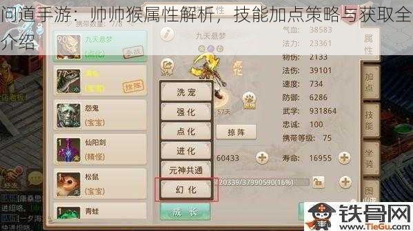 问道手游：帅帅猴属性解析，技能加点策略与获取全介绍