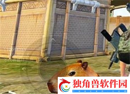 和平精英动物丛林全动物技能怎么样