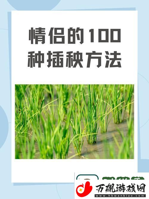 夫妻插秧38种方法图片大全：探索田间的情感与默契
