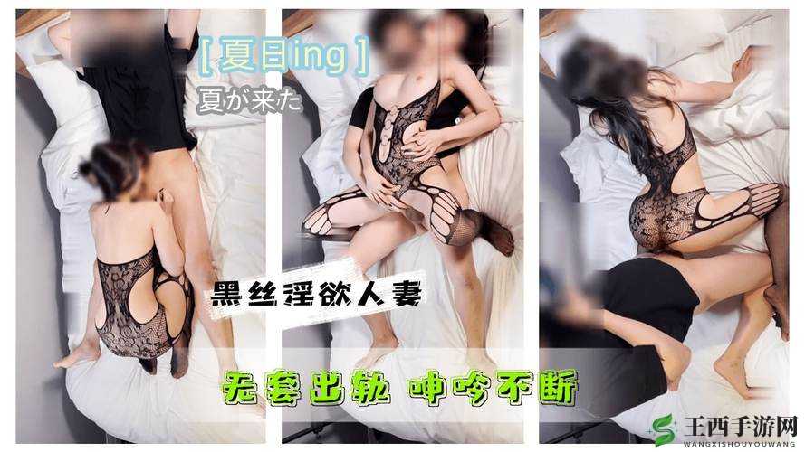 肥婆 BBB 搡 BBBB 搡搡搡——一场别样的闹剧