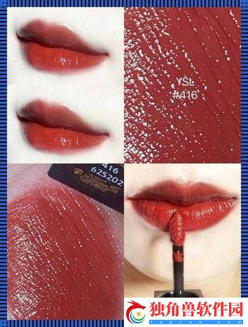 Ysl