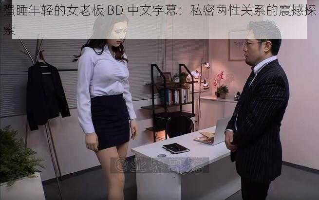 强睡年轻的女老板 BD 中文字幕：私密两性关系的震撼探索