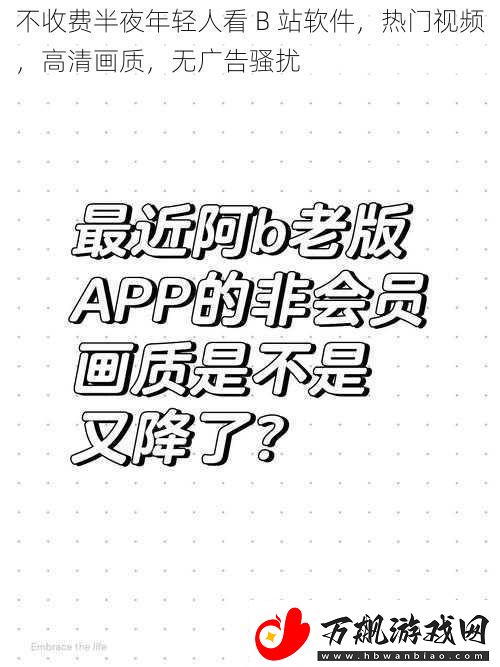 不收费半夜年轻人看-B-站软件-热门视频-高清画质-无广告骚扰