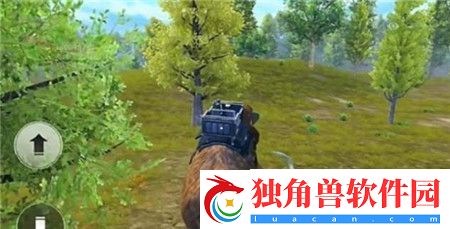和平精英动物丛林全动物技能怎么样-和平精英动物丛林全动物技能介绍