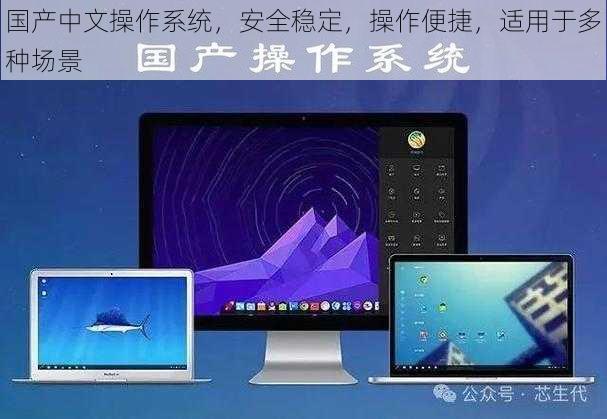 国产中文操作系统，安全稳定，操作便捷，适用于多种场景