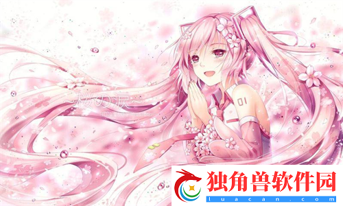 扦插BB和扦插BB的区别
