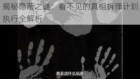 揭秘隐蔽之谜：看不见的真相拆弹计划执行全解析