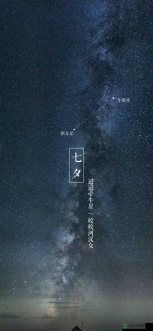 mc166 七夕:浪漫爱情的甜蜜时刻