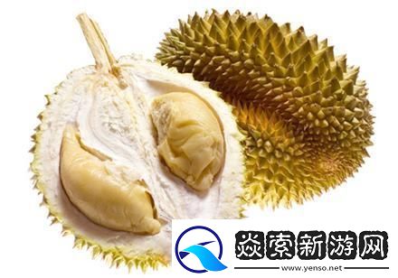 探索香蕉榴莲秋葵绿巨人www的神奇世界