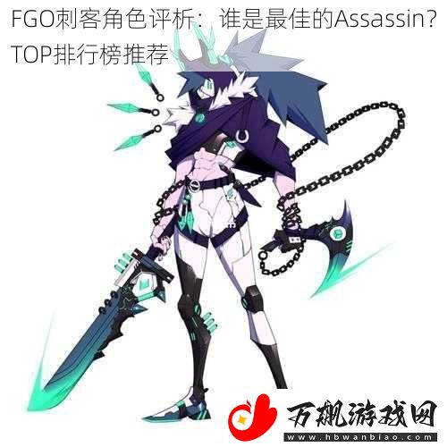 FGO刺客角色评析：谁是最佳的Assassin-TOP排行榜推荐