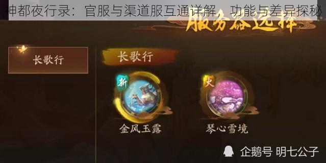 神都夜行录：官服与渠道服互通详解，功能与差异探秘
