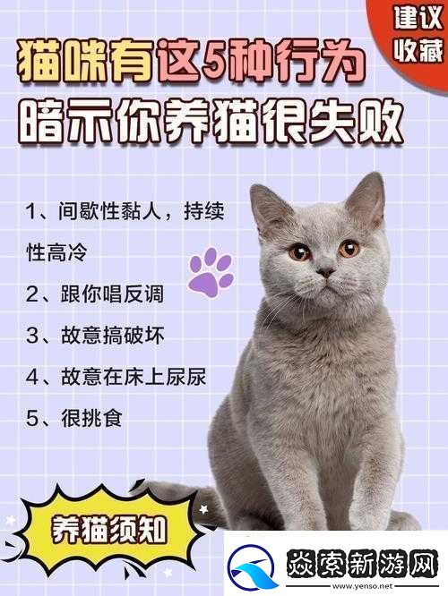 就喜欢听你叫