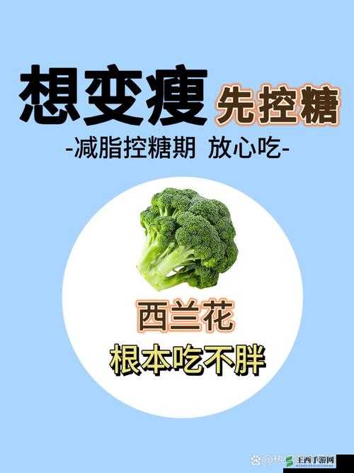 嘿呦一二呦解析很不错:探讨其成功的原因与价值