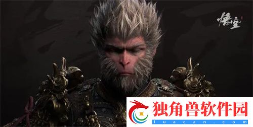 黑神话悟空黑屏闪退怎么办-黑神话悟空黑屏闪退解决办法