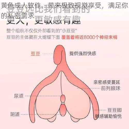 黄色成人软件,带来极致视觉享受,满足你的私密需求