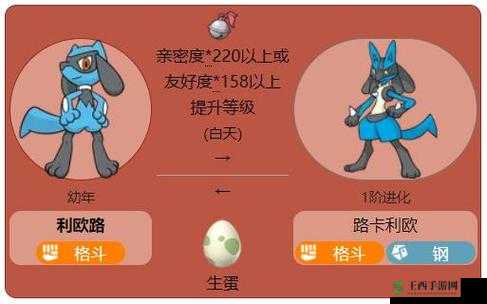 口袋妖怪重制，全面解锁进化系统，探索无限成长与变化的可能