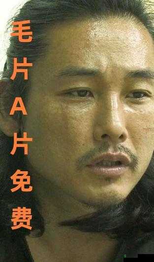 全免费 A 级毛片免费看:无限制激情体验