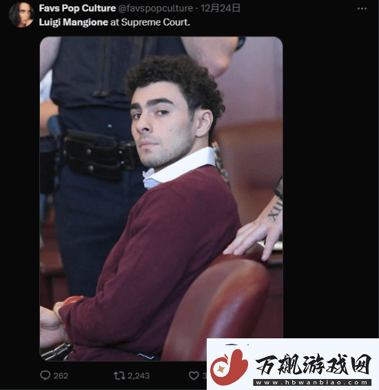 枪杀医保巨头CEO嫌犯颜值出圈