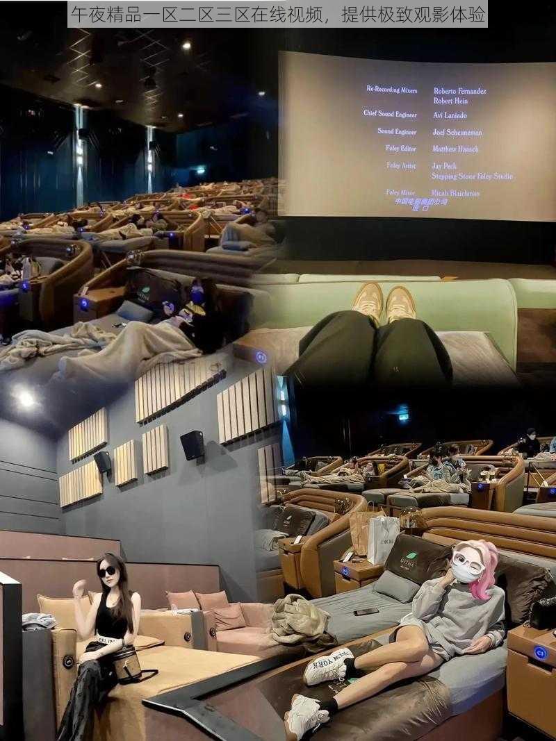 午夜精品一区二区三区在线视频,提供极致观影体验