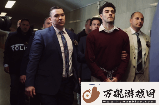 枪杀医保巨头CEO嫌犯颜值出圈