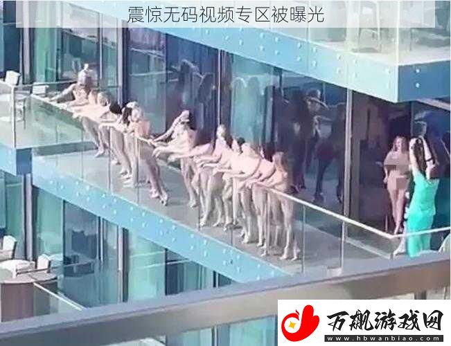 震惊无码视频专区被曝光