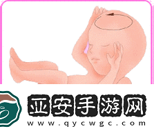 双腿间硬硬的胎头湿漉漉的挤出来的情况如何应对-1.-如何应对胎头挤出时的紧急情况