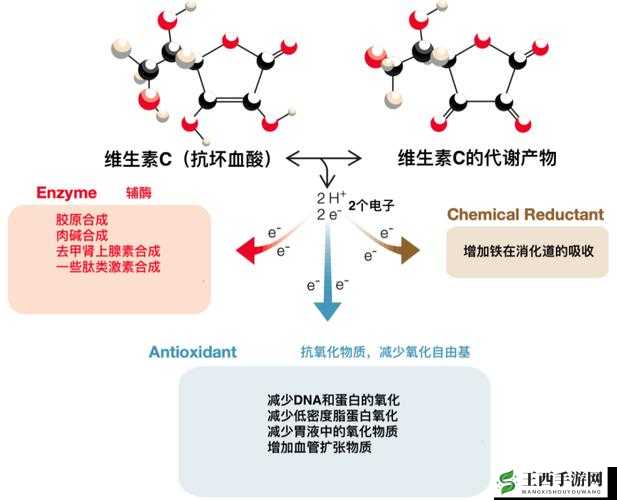 别昂到高 c 了不行:探究其背后的深层原因及影响