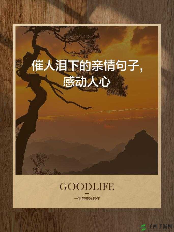 姑父大力支持送上——亲情支持的温暖传递