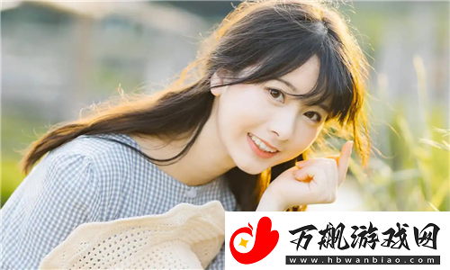 国产MV、欧美MV和日产MV网站比较
