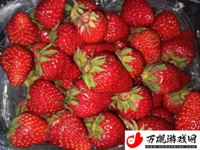 我想吃你的小草莓下一句2023：甜蜜的爱情与生活