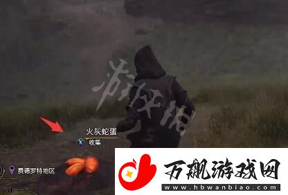 霍格沃茨之遗火灰蛇蛋在哪地图彩蛋与特殊事件解析