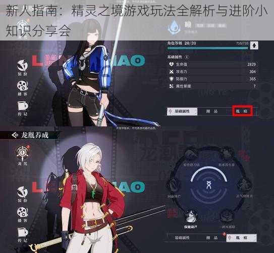 新人指南：精灵之境游戏玩法全解析与进阶小知识分享会