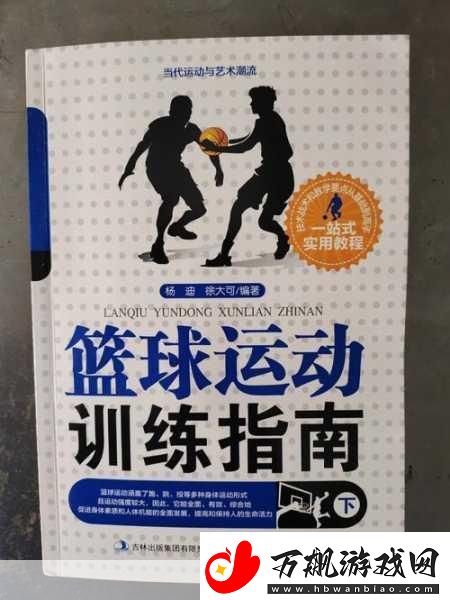 篮球高手之路