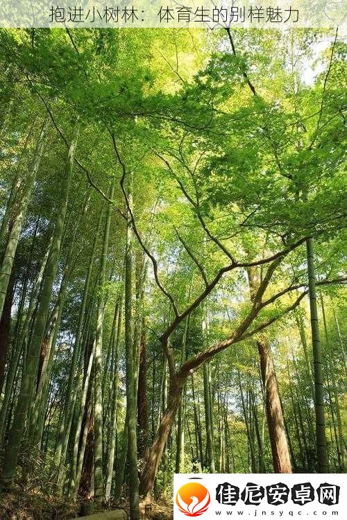 抱进小树林