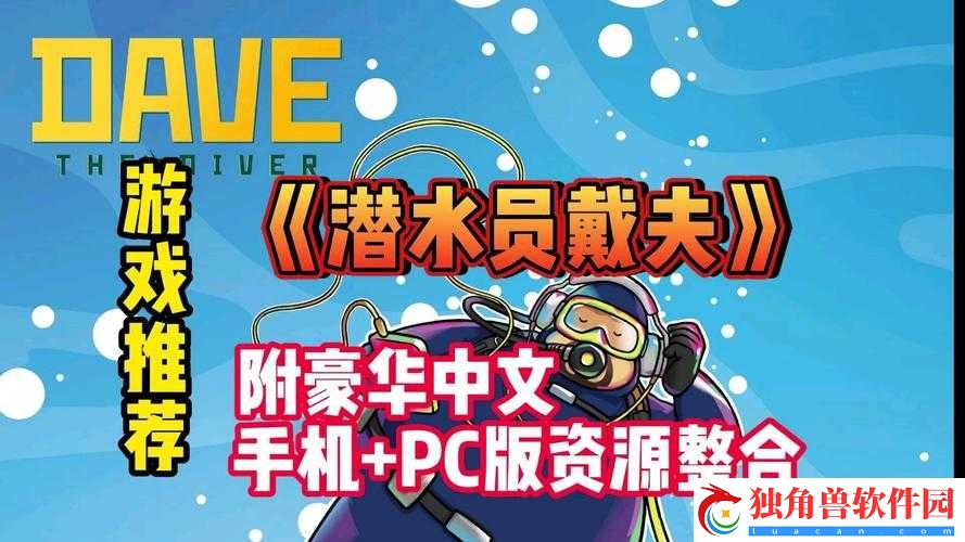 潜水员戴夫分店经理推荐