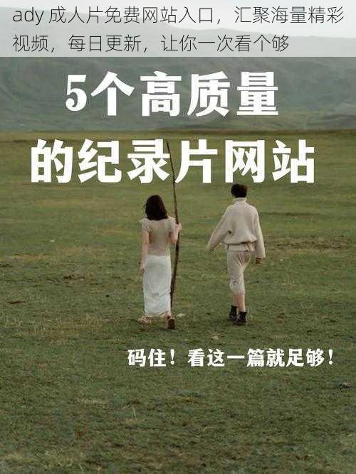 ady ***免费网站入口,汇聚海量精彩视频,每日更新,让你一次看个够