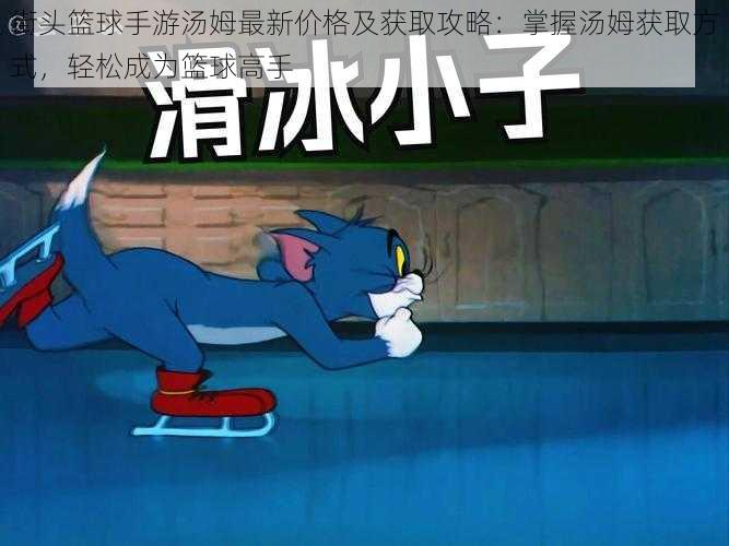 街头篮球手游汤姆最新价格及获取攻略：掌握汤姆获取方式，轻松成为篮球高手