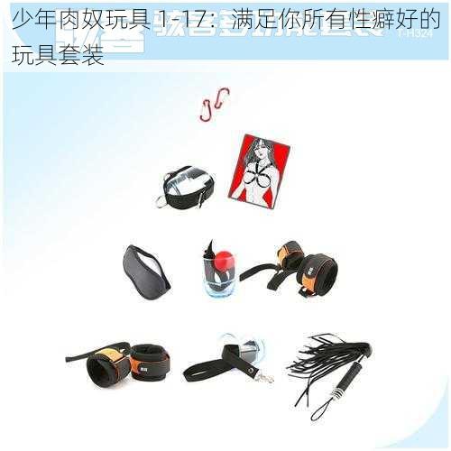 少年肉奴玩具 1-17：满足你所有性癖好的玩具套装