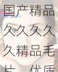 国产精品久久久久久精品毛片，优质材料，舒适贴身，让你享受愉悦体验
