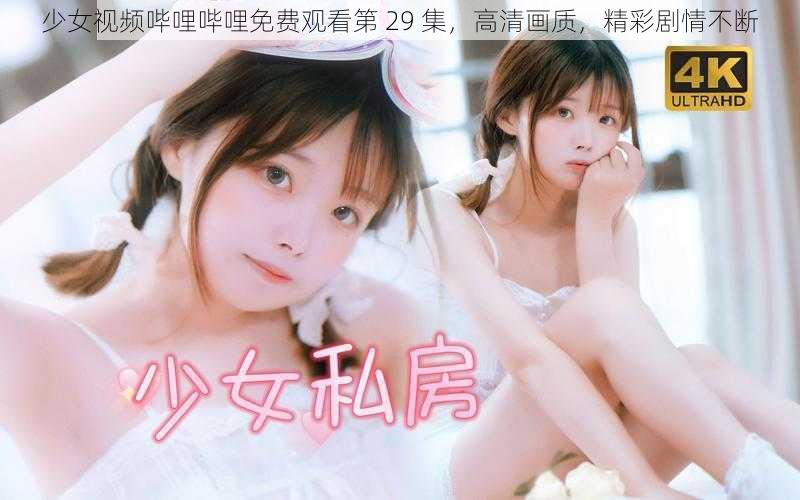 少女视频哔哩哔哩免费观看第 29 集，高清画质，精彩剧情不断
