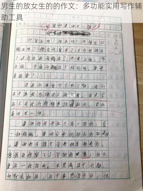 男生的放女生的的作文：多功能实用写作辅助工具