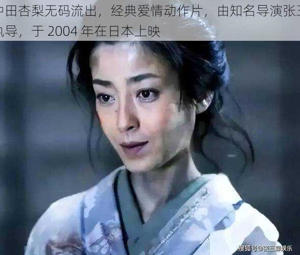 冲田杏梨**流出,经典爱情动作片,由知名导演张三执导,于 2004 年在日本上映