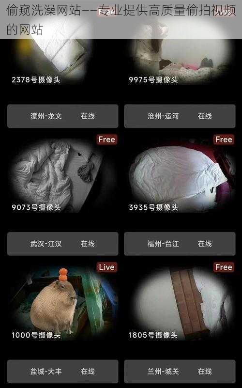 偷窥洗澡网站——专业提供高质量**视频的网站