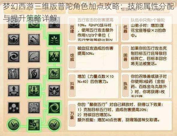 梦幻西游三维版普陀角色加点攻略:技能属性分配与提升策略详解