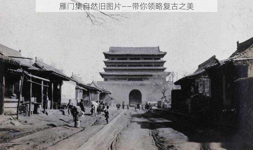 雁门集自然旧图片——带你领略复古之美