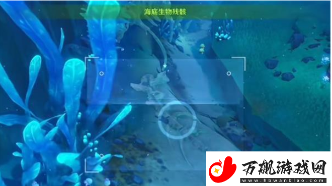原神水下沉落物在哪