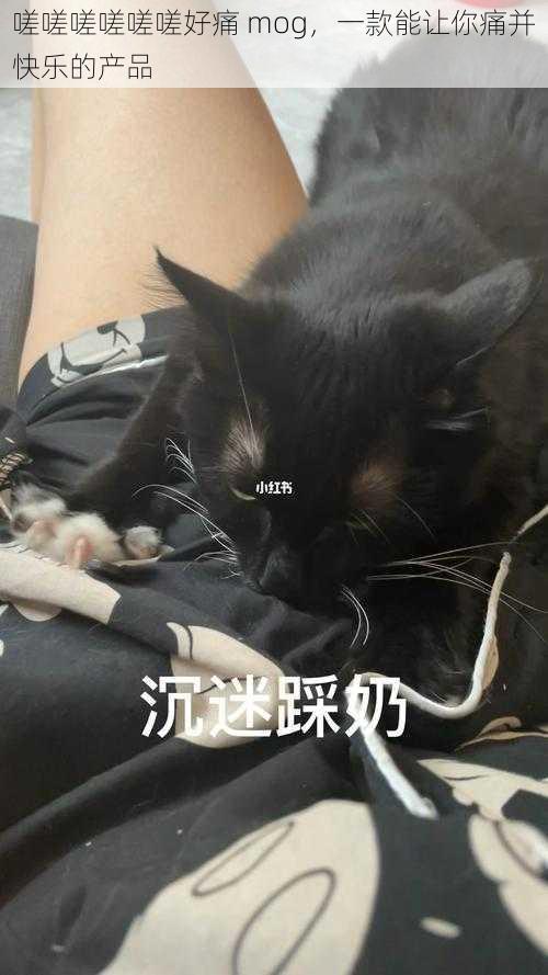 嗟嗟嗟嗟嗟嗟好痛 mog,一款能让你痛并快乐的产品