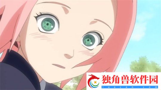 火影忍者：忍者新世代春日里绽放的烂漫樱花——春野樱-生日快乐！